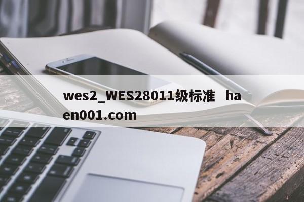 wes2_WES28011级标准  haen001.com
